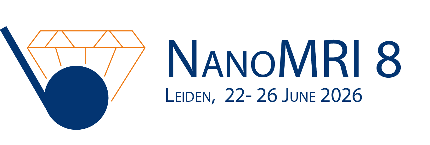 nanoMRI8